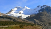 PICTURES/Banff National Park - Alberta Canada/t_Columbia Icefield 2.JPG